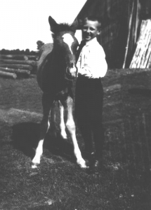 Su mylimu žirgeliu, 1942 m.