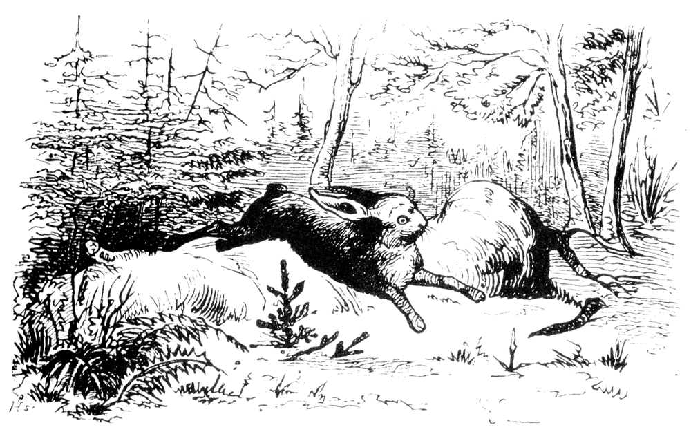 „Eglutė“. Dail. V. Pedersen, L. Frelich „Eglutė“. Dail. V. Pedersen, L. Frelich